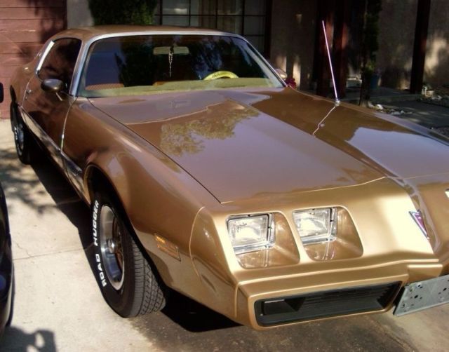 1981 Pontiac Firebird - photo 9
