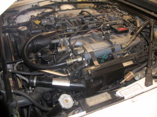 1983 Jaguar XJS V12 Coupe - photo 8
