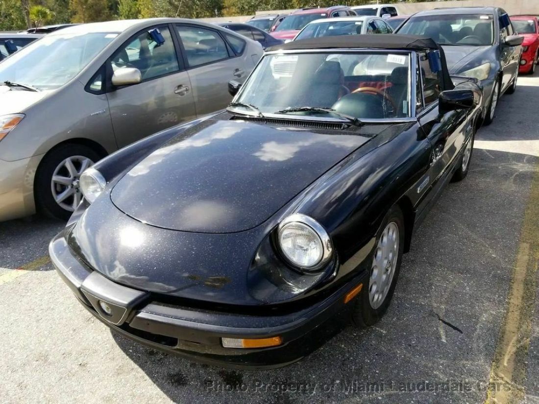1987 Alfa Romeo Spider Quadrifoglio Convertible