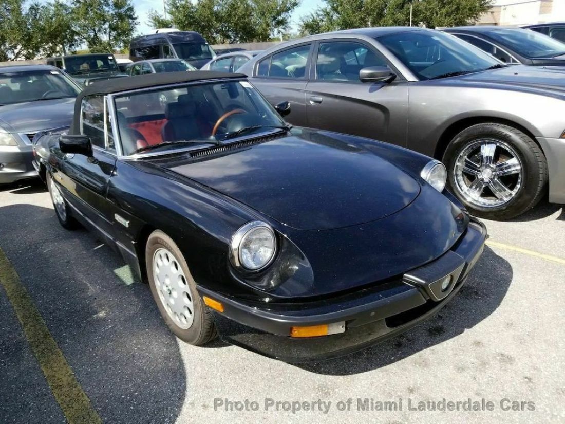 1987 Alfa Romeo Spider Quadrifoglio Convertible - photo 2