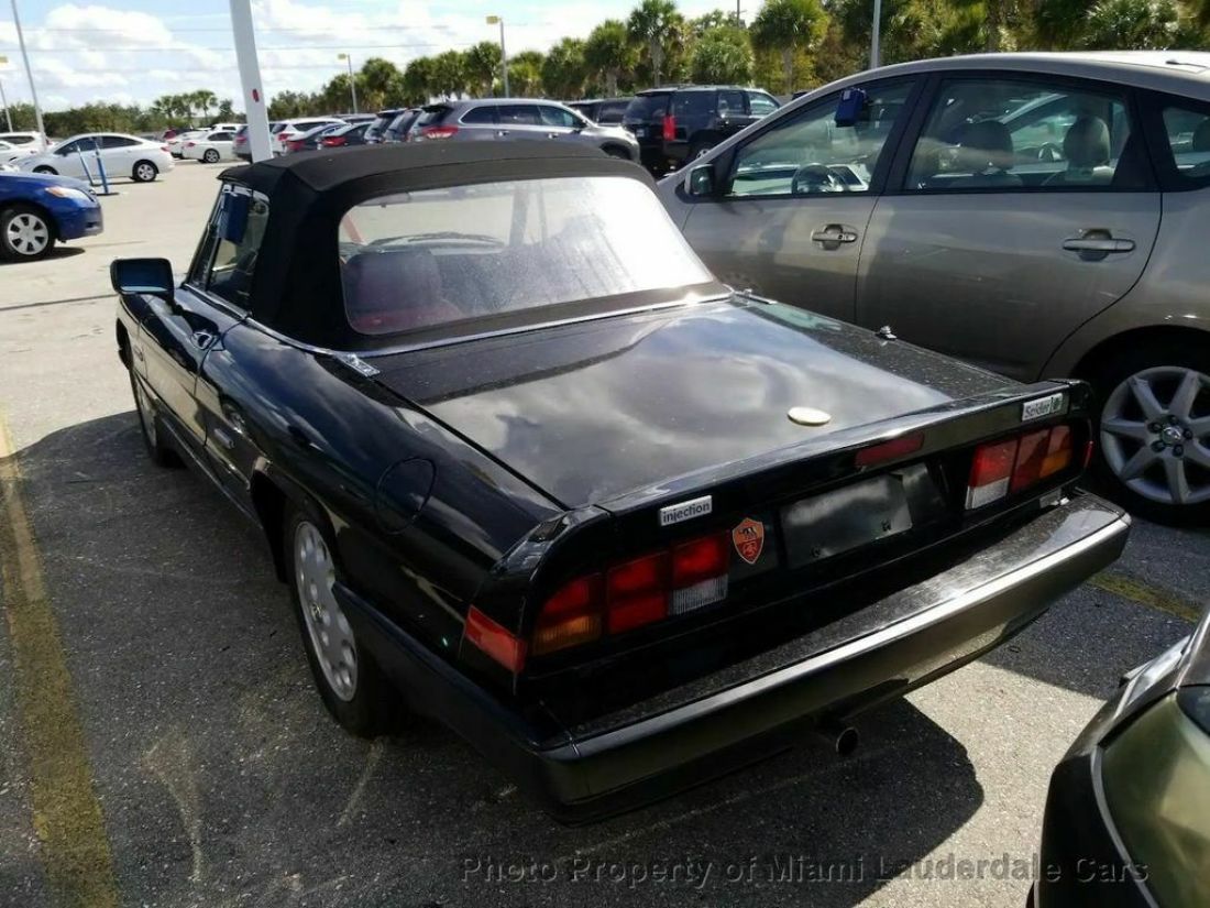 1987 Alfa Romeo Spider Quadrifoglio Convertible - photo 3