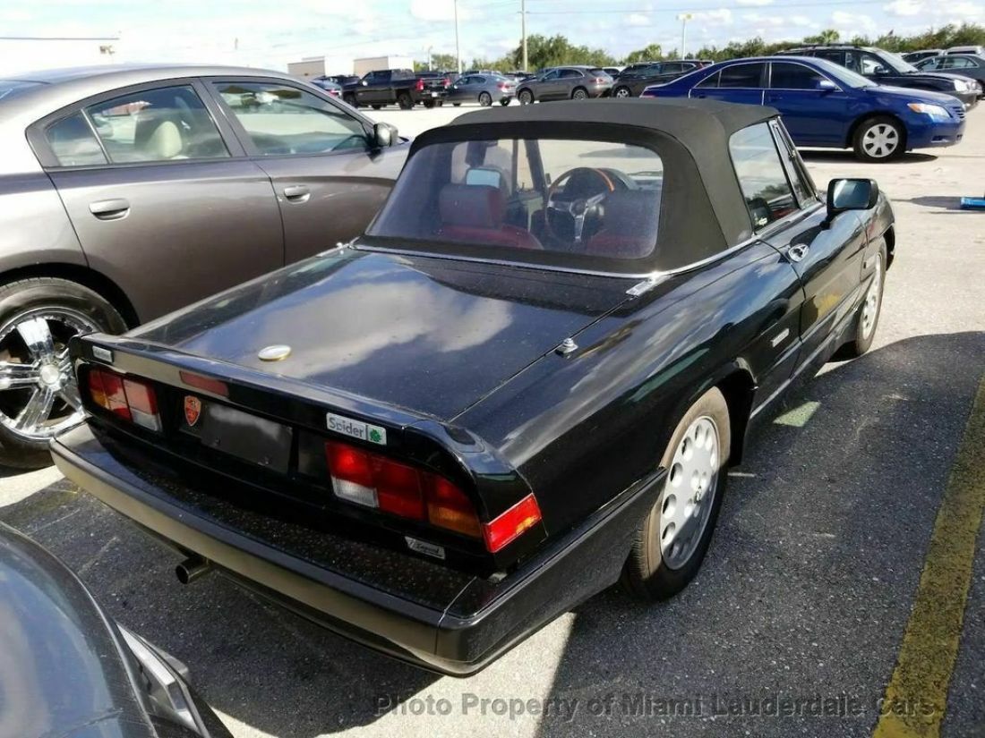 1987 Alfa Romeo Spider Quadrifoglio Convertible - photo 4