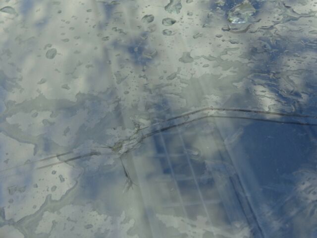 1988 Cadillac Eldorado - photo 8