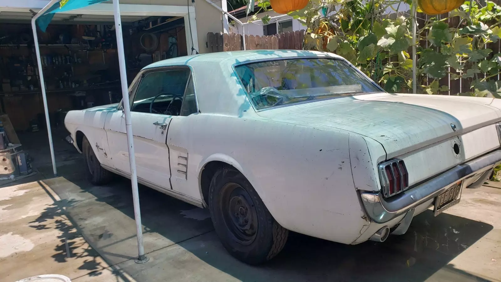 1966 Ford Mustang - photo 10