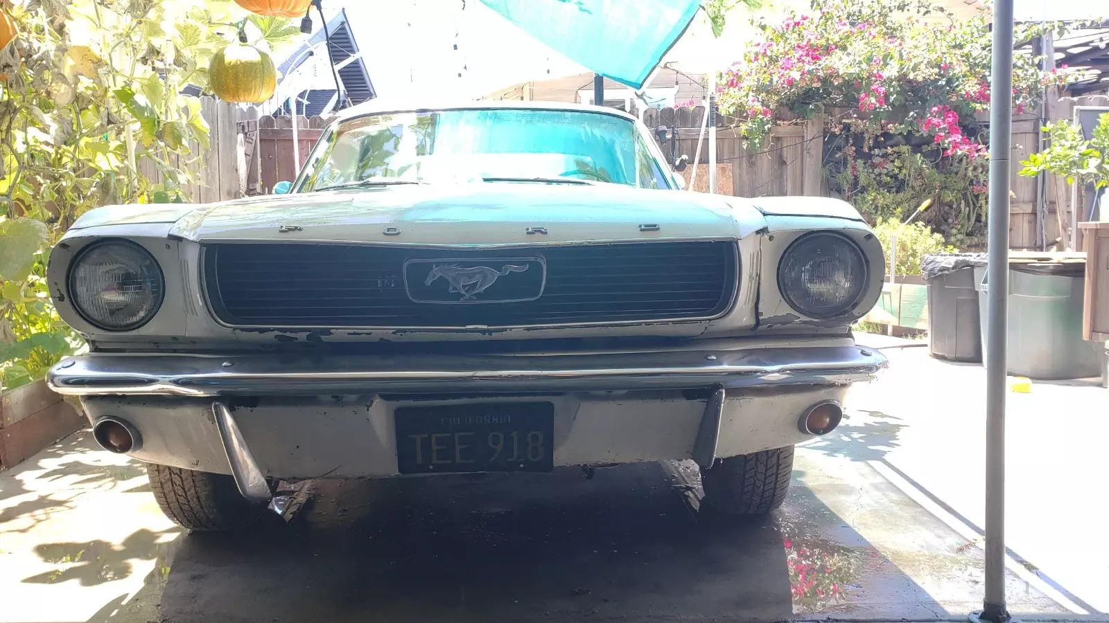1966 Ford Mustang - photo 2