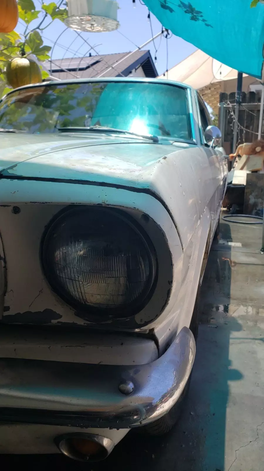 1966 Ford Mustang - photo 4