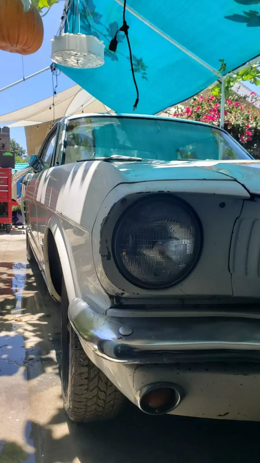 1966 Ford Mustang - photo 5