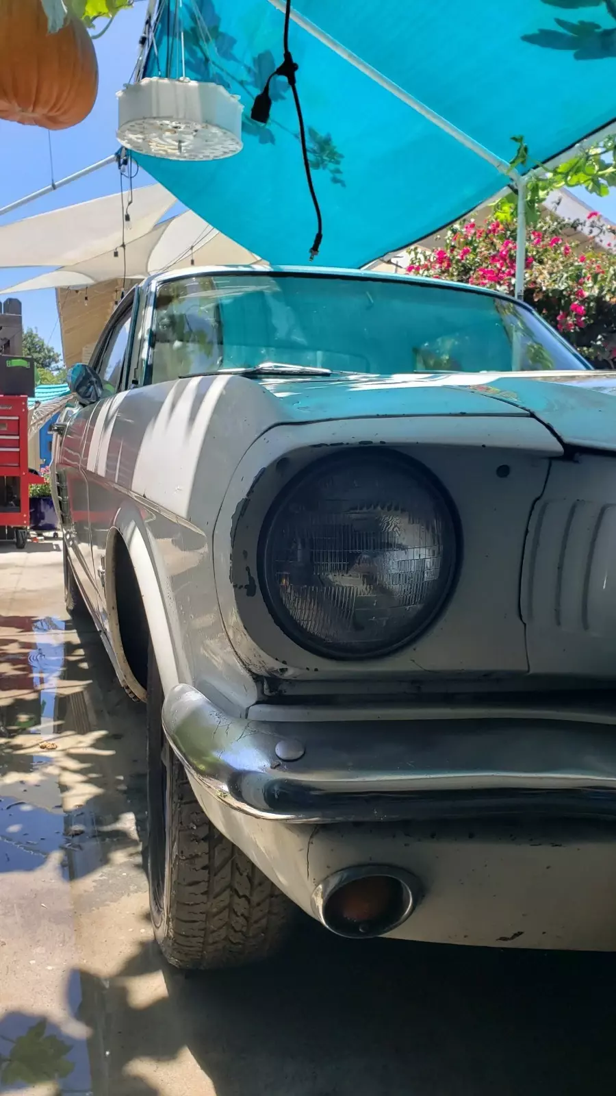 1966 Ford Mustang - photo 6