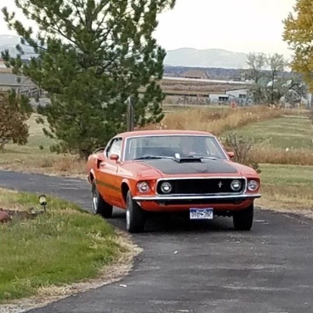 1969 Ford Mustang - photo 4