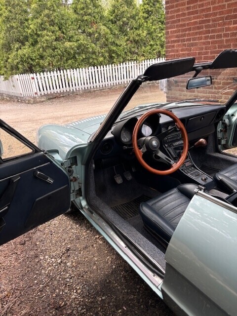 1984 Alfa Romeo Spider 2000 SPIDER - photo 9