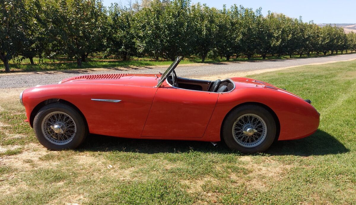 1955 Austin Healey 100 - photo 4