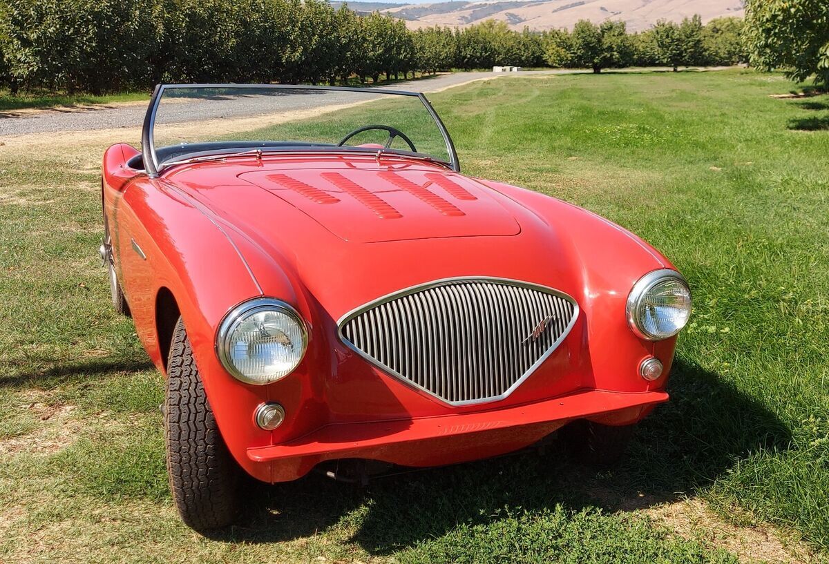 1955 Austin Healey 100 - photo 9