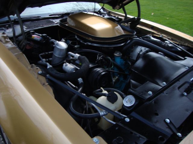 1979 Pontiac Trans Am - photo 13