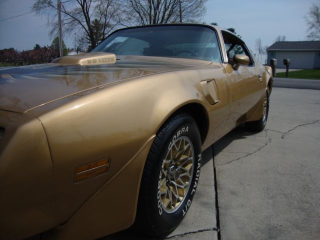 1979 Pontiac Trans Am - photo 3