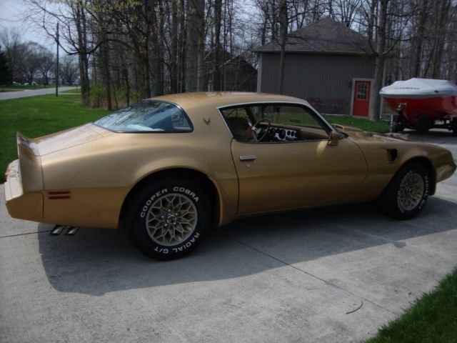 1979 Pontiac Trans Am - photo 6