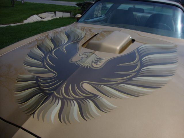 1979 Pontiac Trans Am - photo 7