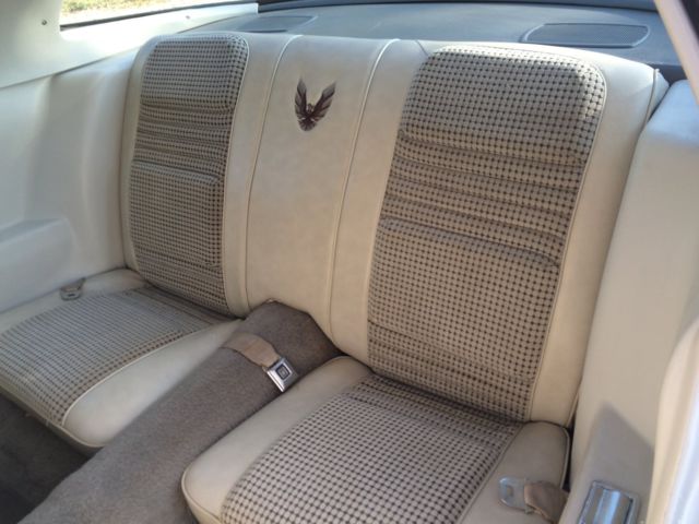 1980 Pontiac Trans Am pace car - photo 11