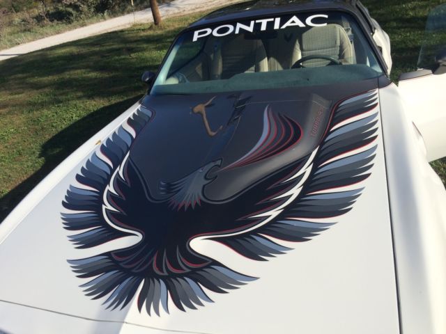 1980 Pontiac Trans Am pace car - photo 7