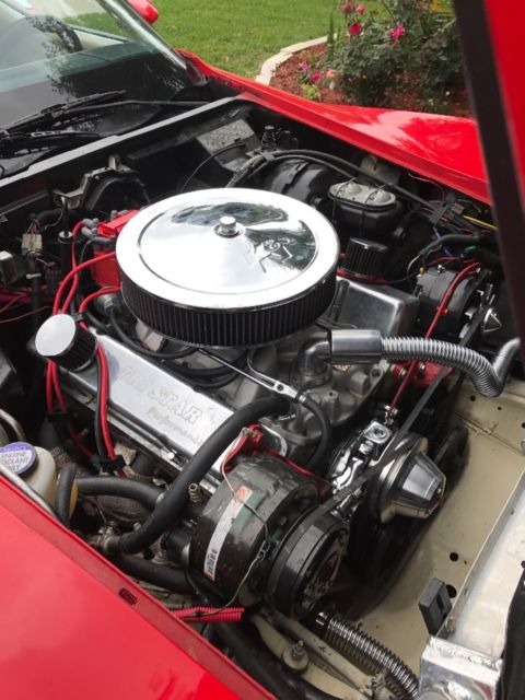 1979 Chevrolet corvette coupe-t-top - photo 3