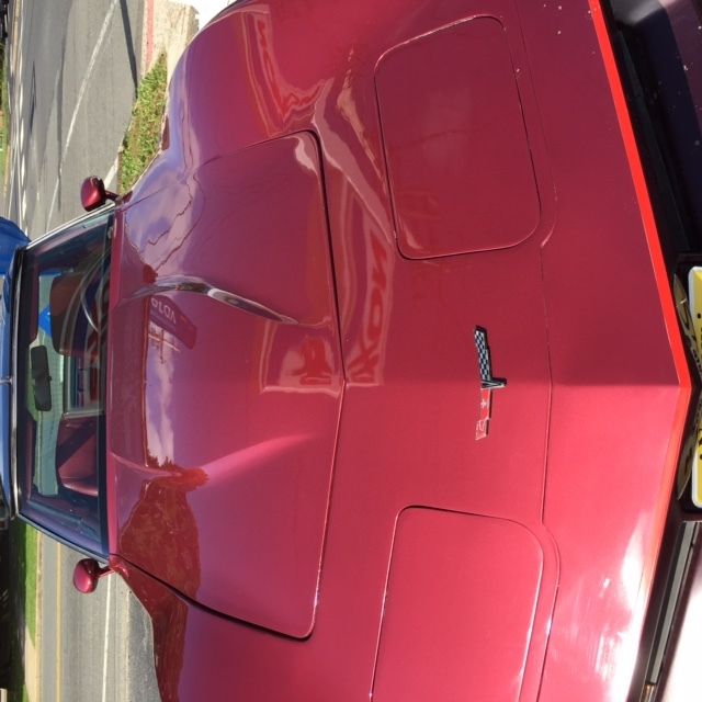 1981 Chevrolet Corvette 2-door - photo 6