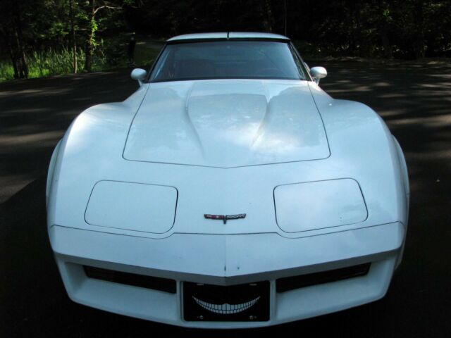 1981 Chevrolet Corvette