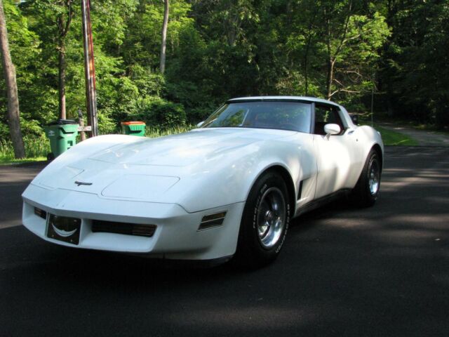 1981 Chevrolet Corvette - photo 11