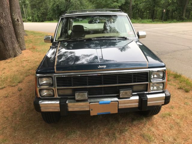 1989 Jeep Wagoneer Limited - photo 4