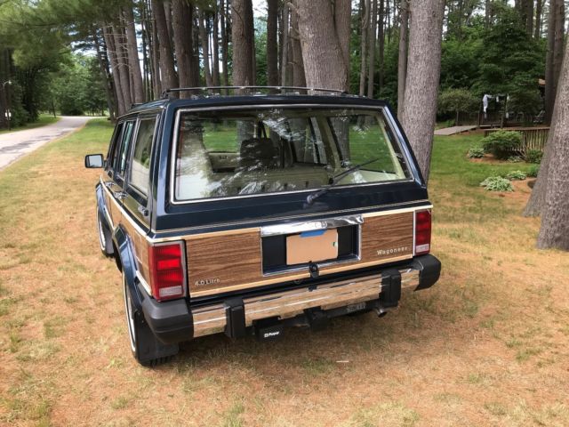 1989 Jeep Wagoneer Limited - photo 5