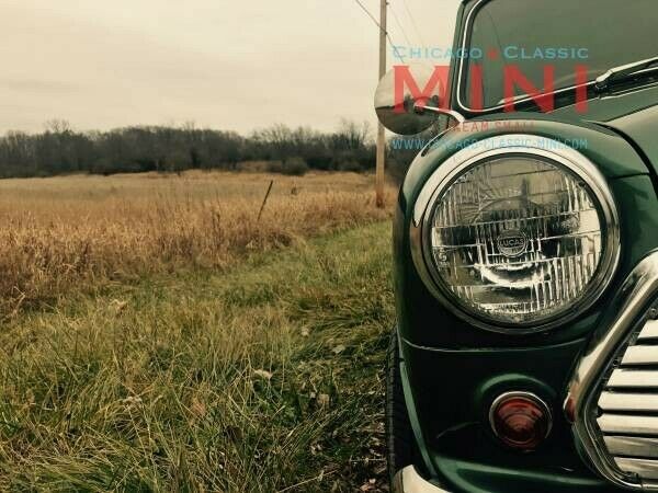 1980 Mini Classic Mini - photo 4