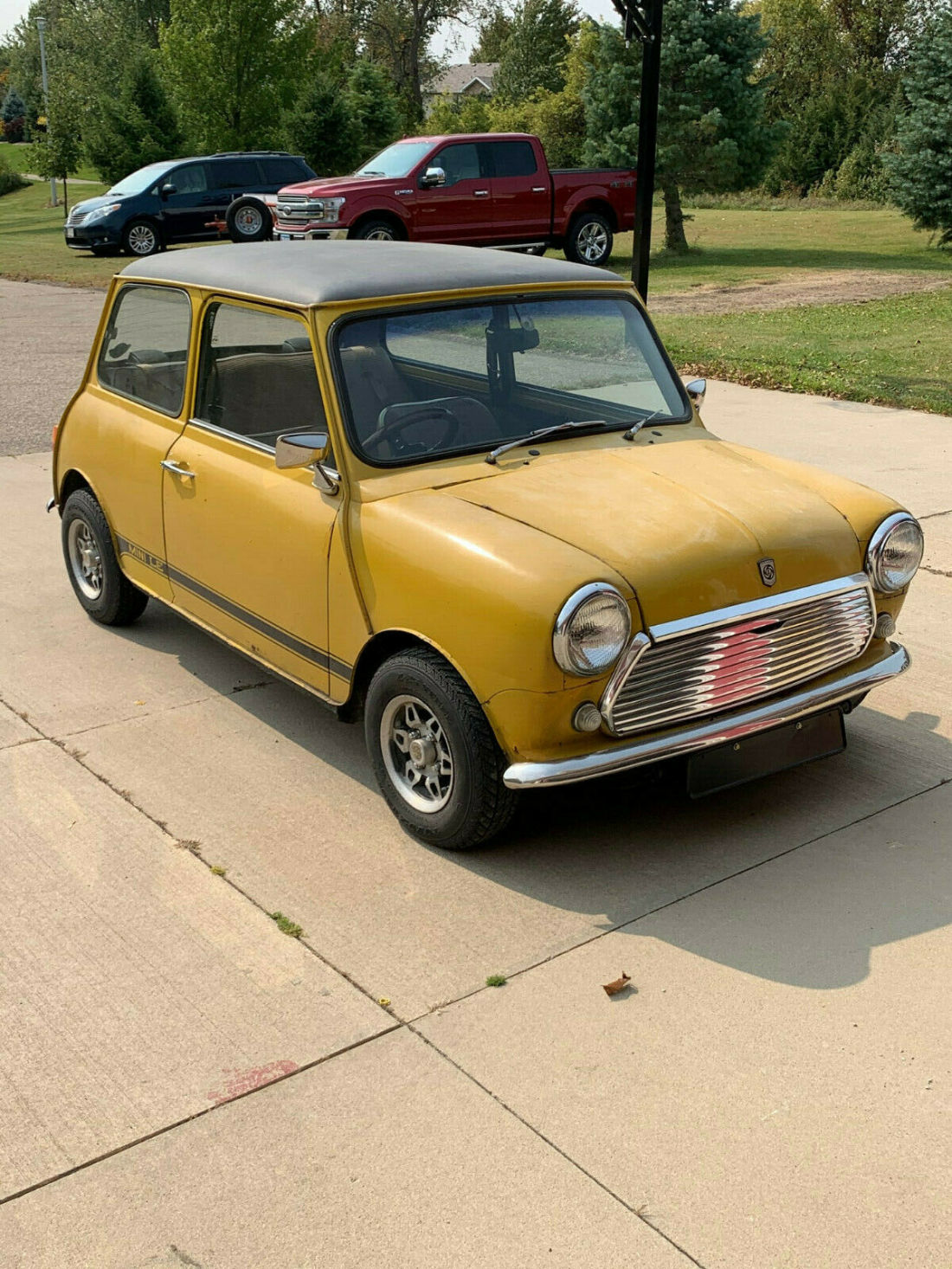 1980 Mini Classic Mini - photo 10