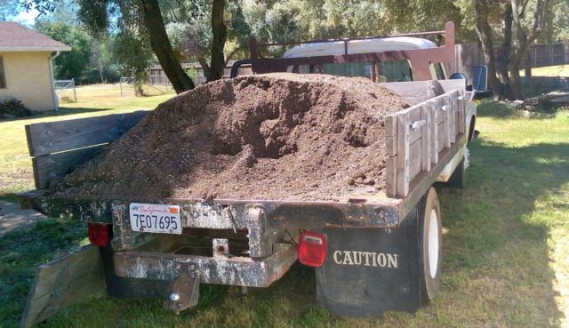 1965 Ford Other Pickups - photo 4