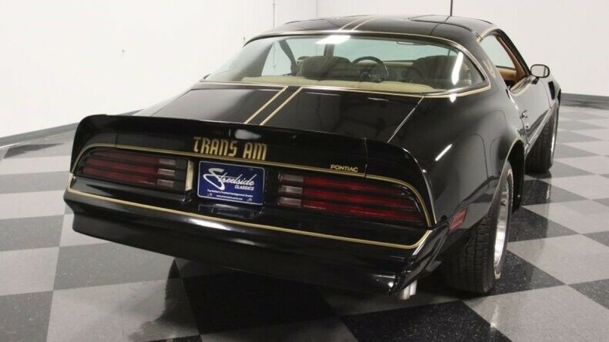1978 Pontiac Firebird Trans Am - photo 13