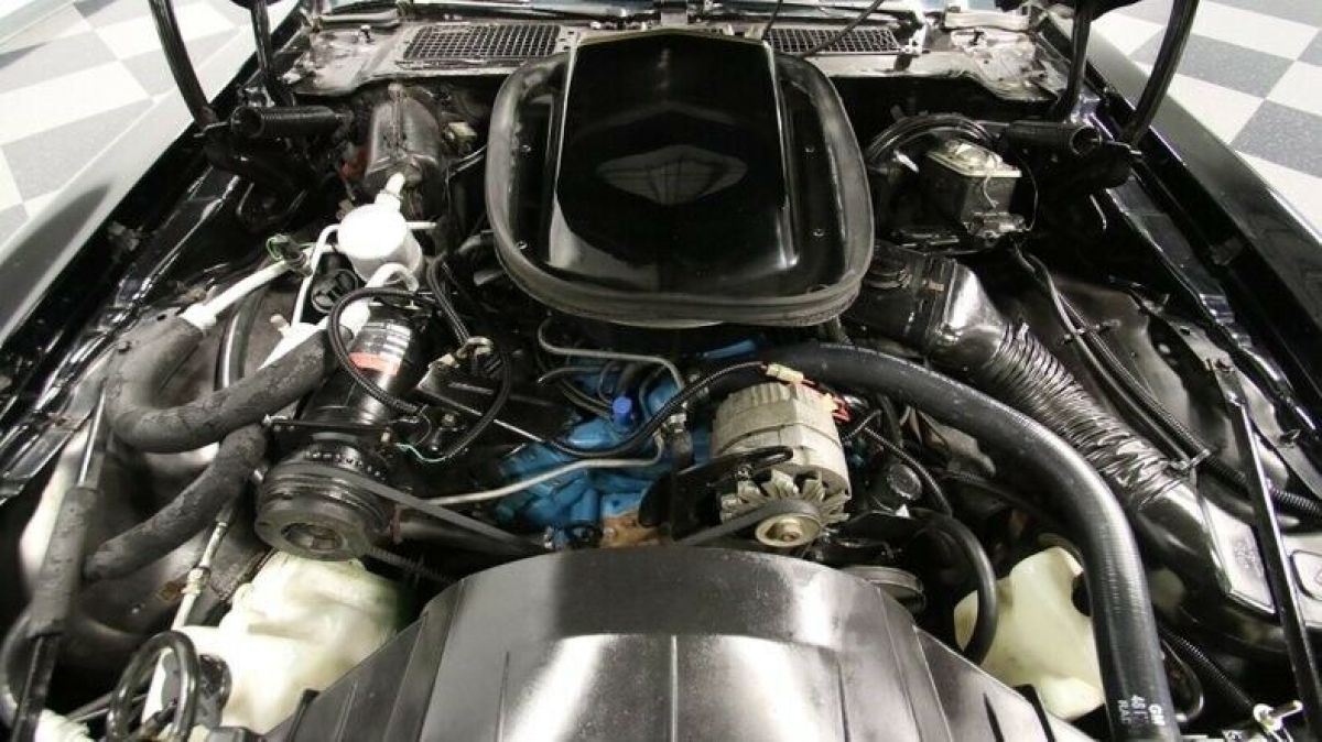 1978 Pontiac Firebird Trans Am - photo 4