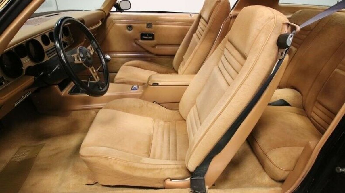 1978 Pontiac Firebird Trans Am - photo 5