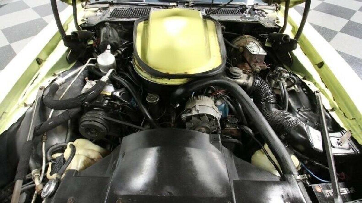 1979 Pontiac Firebird Trans Am - photo 4