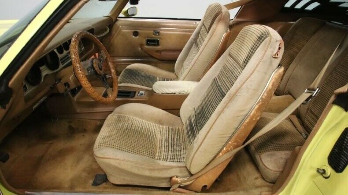1979 Pontiac Firebird Trans Am - photo 5
