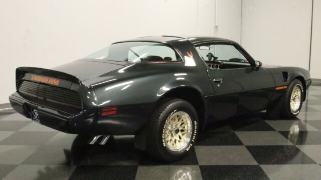 1979 Pontiac Firebird Trans Am 10th Anniversary Edition - photo 11