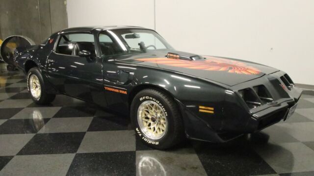 1979 Pontiac Firebird Trans Am 10th Anniversary Edition - photo 13