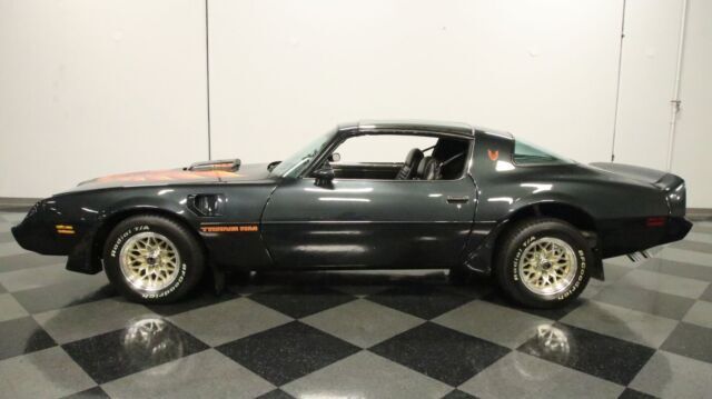 1979 Pontiac Firebird Trans Am 10th Anniversary Edition - photo 3