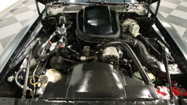 1979 Pontiac Firebird Trans Am 10th Anniversary Edition - photo 4