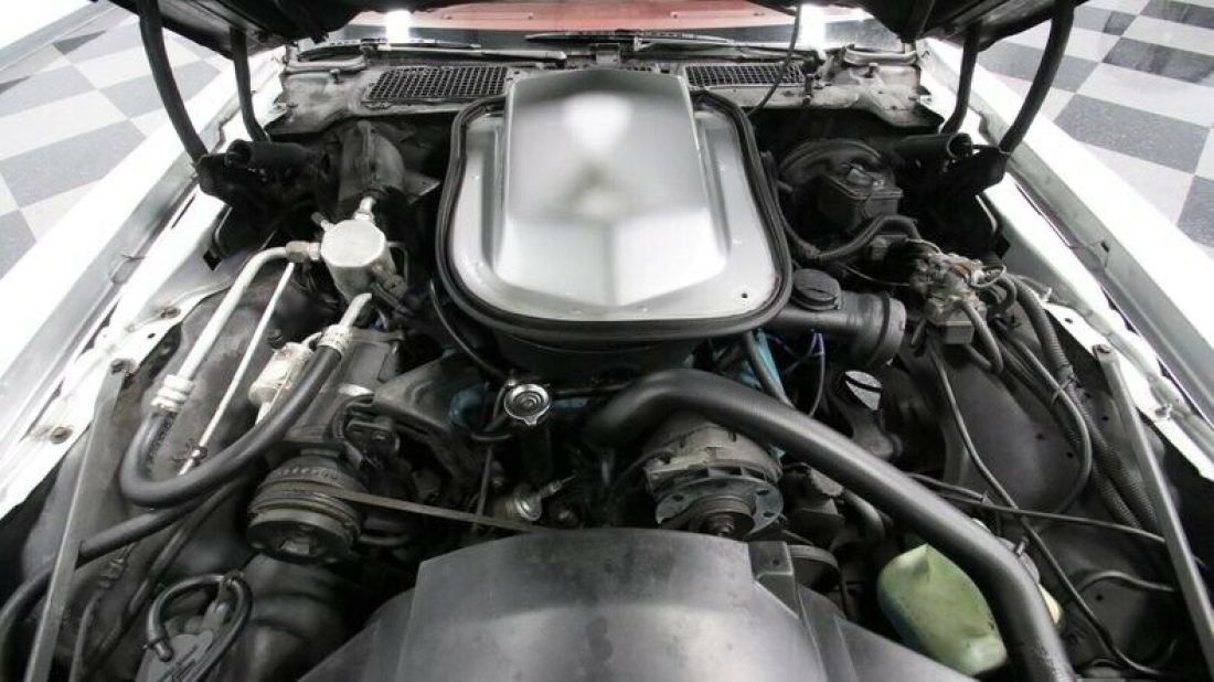 1979 Pontiac Firebird Trans Am - photo 4