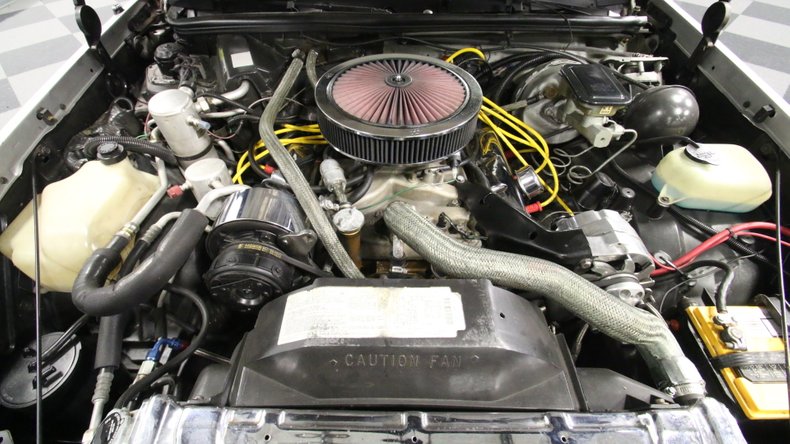 1984 Oldsmobile Cutlass 442 Hurst/Olds - photo 4