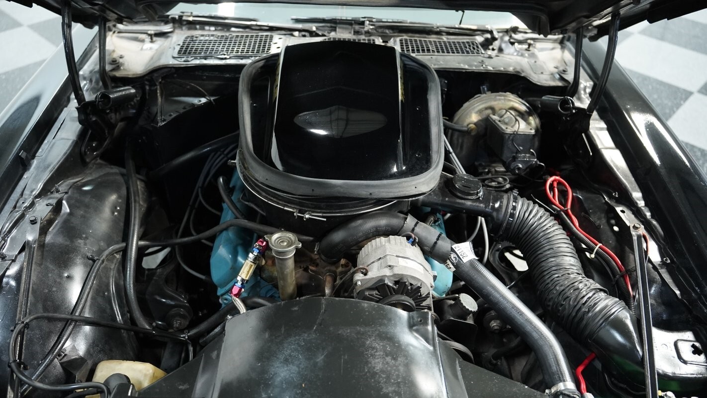 1979 Pontiac Firebird Trans Am - photo 4