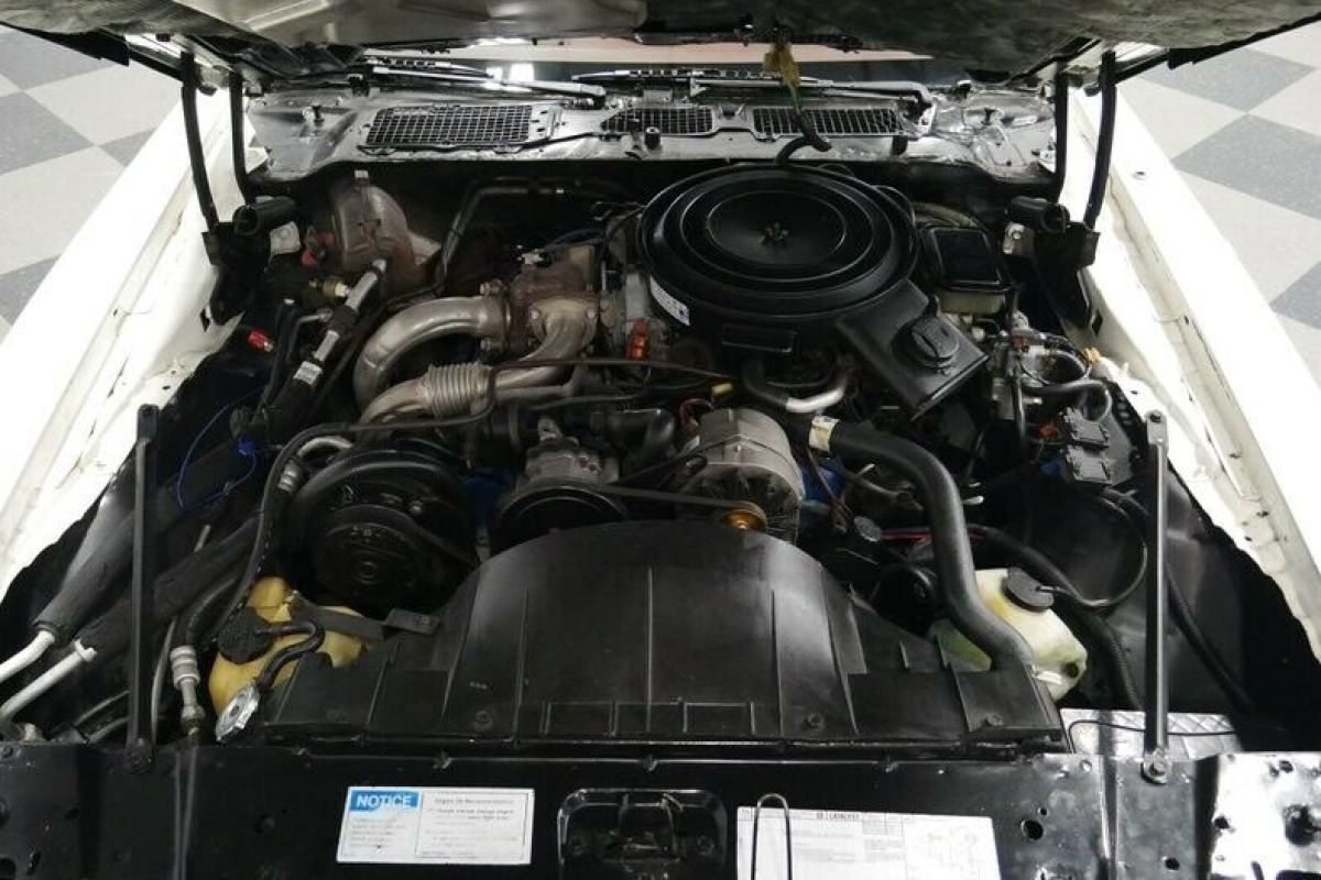 1981 Pontiac Firebird Trans Am Turbo WS6 - photo 4
