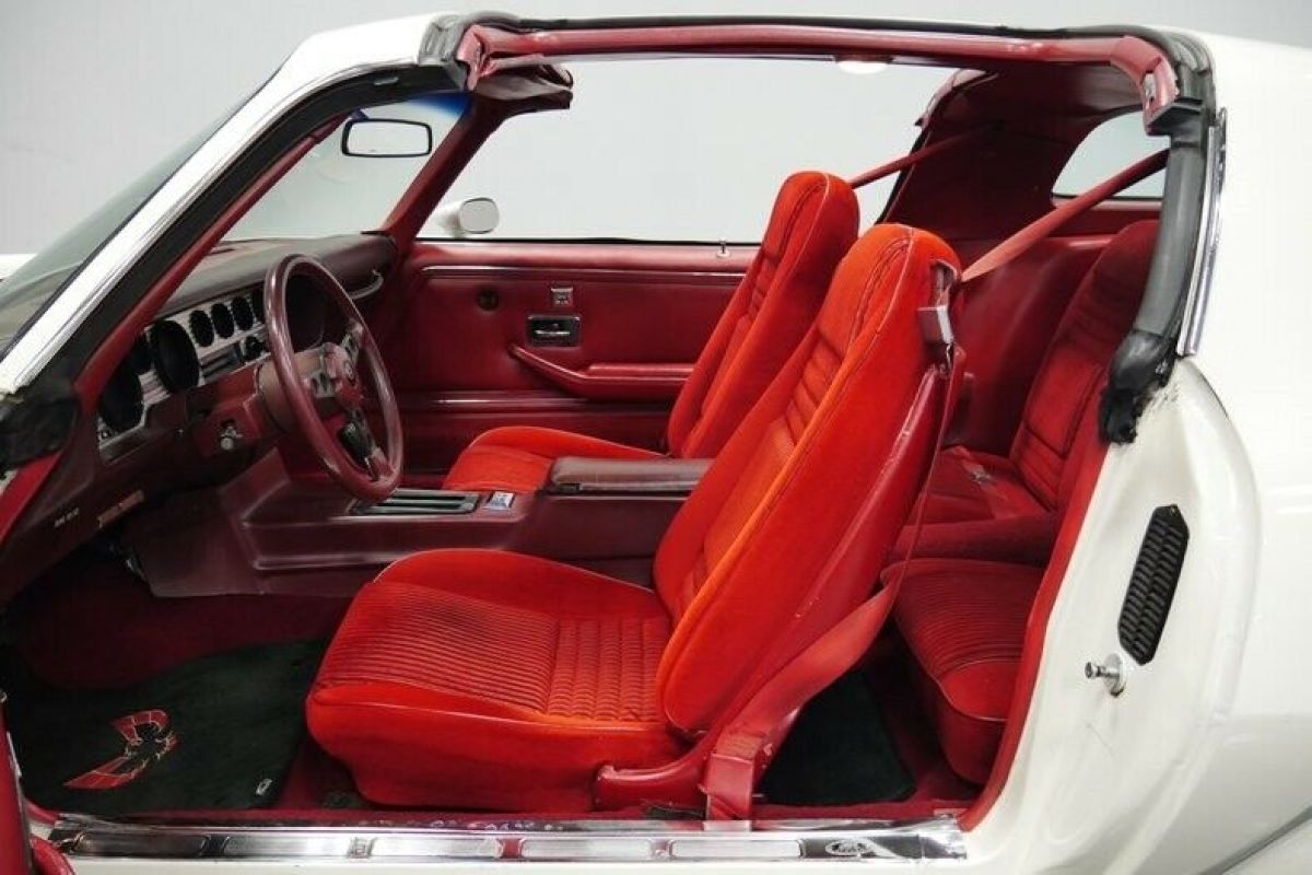 1981 Pontiac Firebird Trans Am Turbo WS6 - photo 5