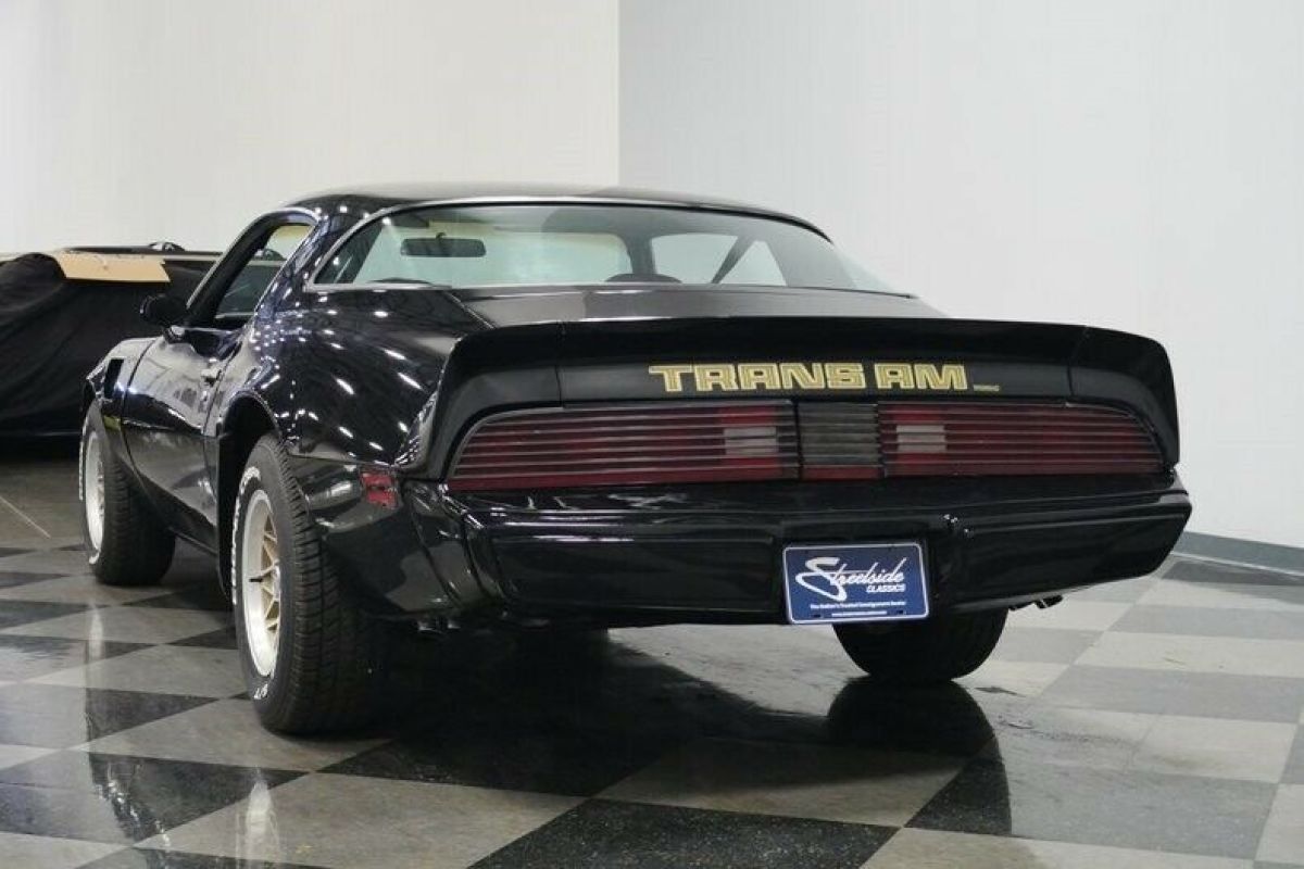 1979 Pontiac Firebird Trans Am - photo 11