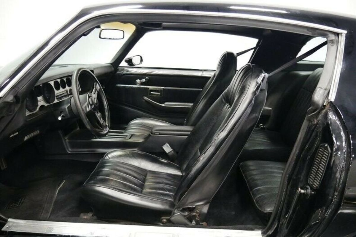 1979 Pontiac Firebird Trans Am - photo 5