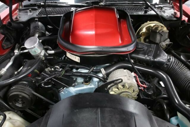 1978 Pontiac Firebird Trans Am - photo 4