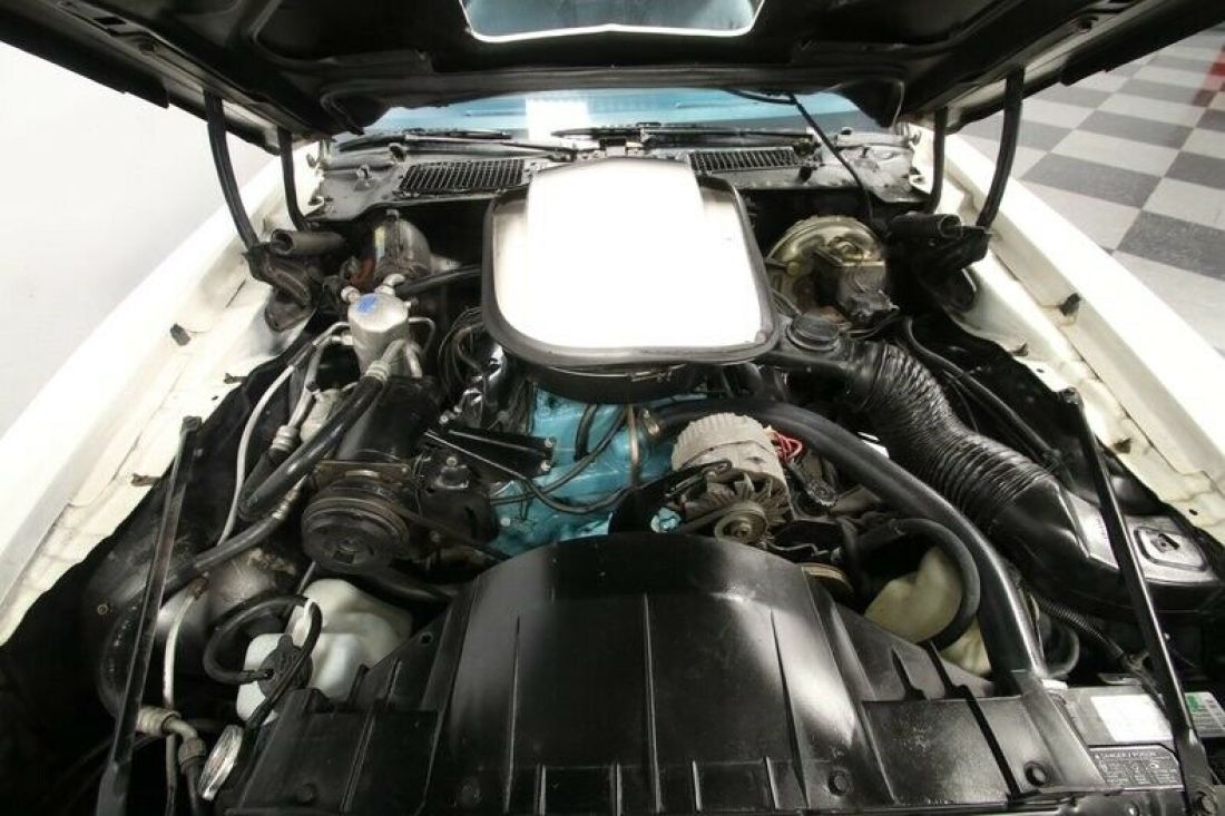 1977 Pontiac Firebird Trans Am - photo 3