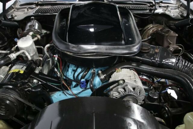 1979 Pontiac Firebird TRANS AM SE W72 - photo 4
